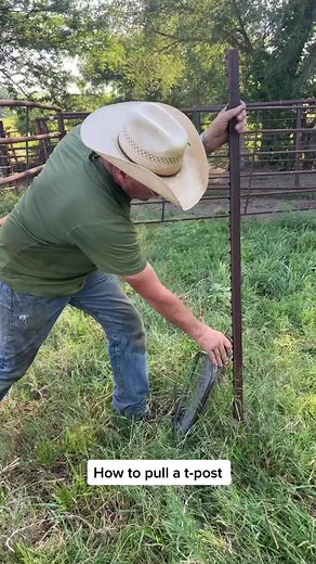 Quick tip on how to pull a t-post! I’d never seen him do this before. #agtalkwithalex #rancher #ranchlife #missouri #protip #cattle #cowboy #fyp #nourisheveryyou #GradeUpWithGrammarly