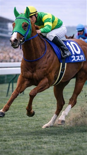 サイレンススズカ｜宝塚記念、頂点へ【第8話】#サイレンススズカ#宝塚記念#G1#競馬ドキュメンタリー#名馬#競馬史#JRA#競走馬 #競馬