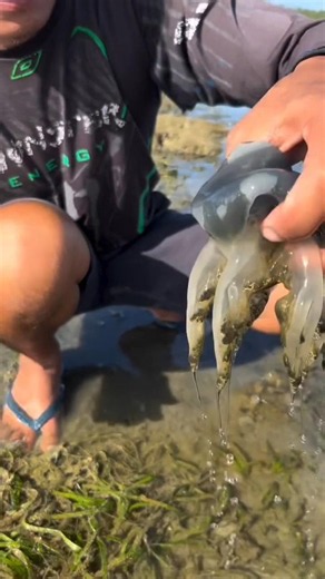What is this Strange Creature? 🤔#shorts #fishing #fish