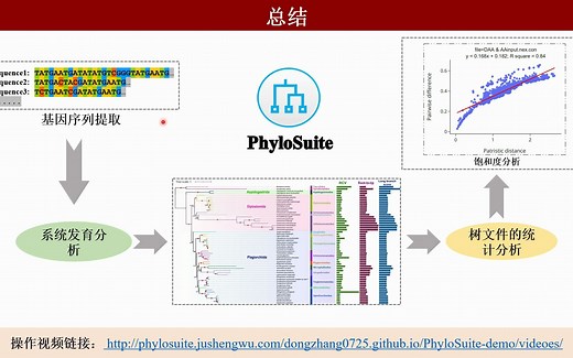iMeta | 使用PhyloSuite进行分子系统发育及系统发育树的统计分析