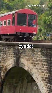 “80 Hours in a Train?! 😱 India’s Longest Rail Journey