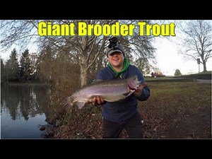 Giant Trout at Local Pond! | Oregon Brooder Trout Fishing | Waverly Lake and Walling Pond Adventure!
