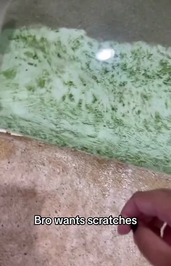 Bro just wanted a scratch #meme #stingray #scratches