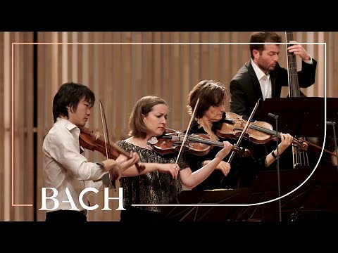 Bach - Allegro from 'Brandenburg' concerto no. 3 BWV 1048 - Sato | Netherlands Bach Society