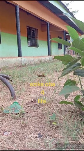 static major 1 (@static.major.1)’s videos with original sound - static major 1