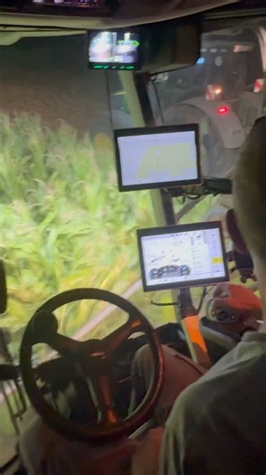 🌽MAX CAPACITY!! 🐆Claas Jaguar 970 & 12-Row Orbis 900