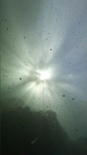 Would you dive down to these murky depths?