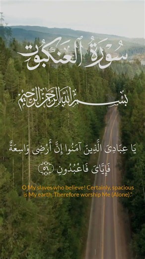 سورة العنكبوت تلاوة مؤثرة #المصحف #قرآن #قران_كريم