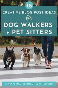 18 Creative Blog Post Ideas for Dog Walkers & Pet Sitters