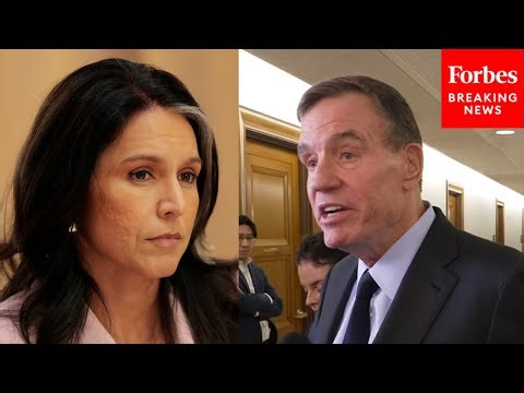 Mark Warner Speaks To Reporters After Report Finds Tulsi Gabbard Probed Puerto Rico Voting Machines