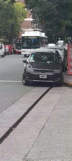 linea 151 interno 444