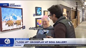 We loved seeing Look Up featured on WXYZ-TV Channel 7 ABC Detroit. So proud of Caryn for sharing her artwork and story on the show and on air! | Friendship Circle of Michigan