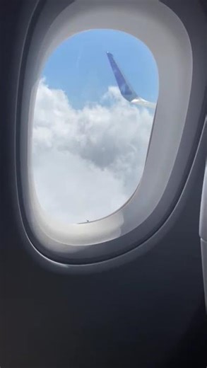 Above the Clouds ✈️☁️ | Peaceful Sky View