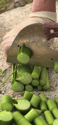 Create Your Own Veggie Paradise: A Step-by-Step Guide