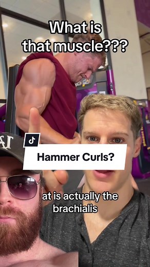Understanding the Role of Hammer Curls in Brachialis Bias