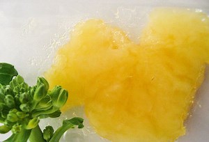 [Hot Item] Factory Supply Food Additive Sunflower Lecithin Powder PC50 PC70 PC90 CAS 97281-47-5