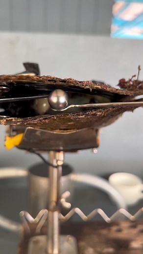 kamokapearl on TikTok