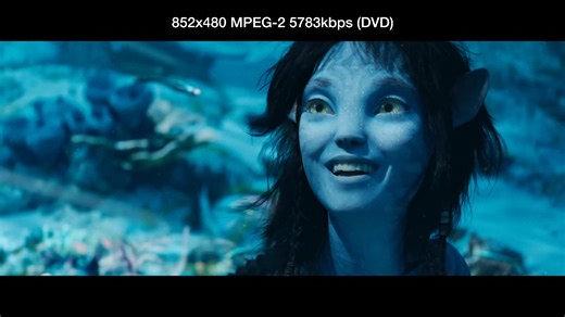 当我用VCD/DVD的画质打开Avatar | 240p 1.15M / 480p 6M