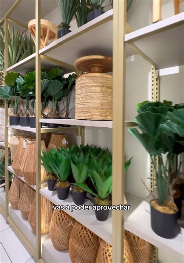 Renueva tu hogar con 20% OFF en Indian HOME