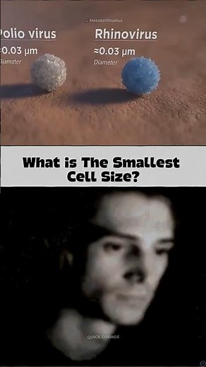 How Small Is a Cell Actually ? 🤯#science #shorts #mind