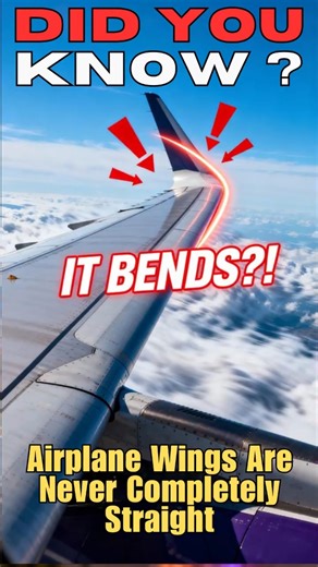 Did You Know? Airplane Wings Are Never Completely Straight