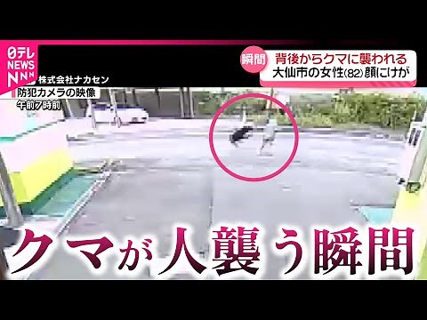 【恐怖】背後から突然… 市街地でクマが女性を襲う瞬間の映像 熊出没の原因と注意点は？ 秋田 NNNセレクション