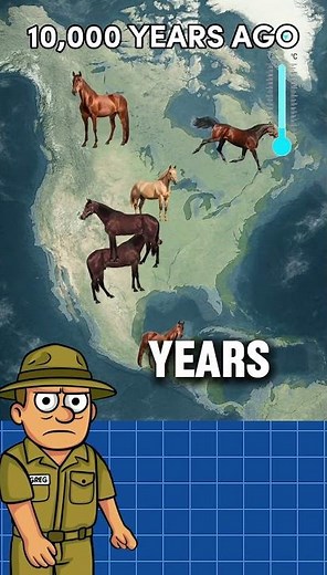 How Horses Went Extinct in North America