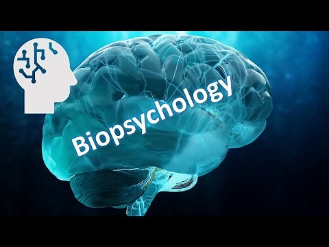 Biopsychology Overview