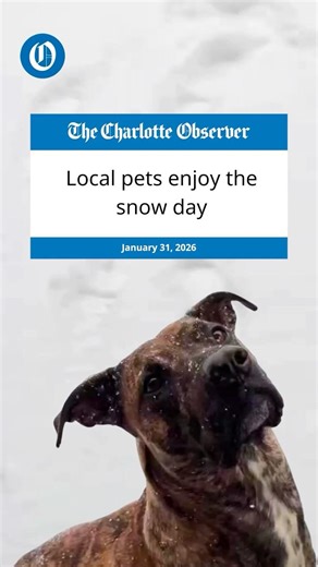 Pets enjoy rare snow day in Charlotte, NC from 'Bomb Cyclone'