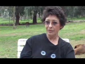 The Cat House on the Kings: A Cage-Free, Lifetime Cat Sanctuary