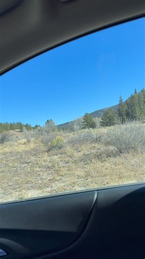 59 reactions · 14 shares | Going back home  | Darlyn A. Lambert | Facebook