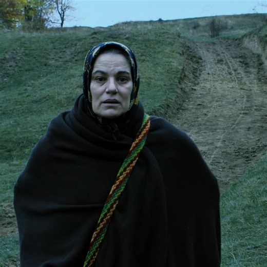 #фильм #fyp #pekomeндации | wolf and lion movie