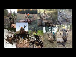 Camp 9 Hunting Ranch