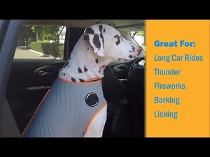 How to Put on a ThunderShirt - Dog Anxiety Solution