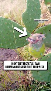 Wait to see what's hiding 🫣 | Pubity