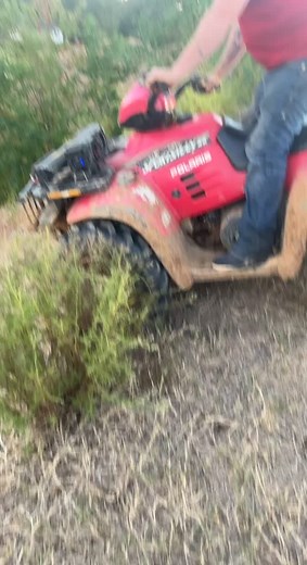 I have no words 🤣🤣