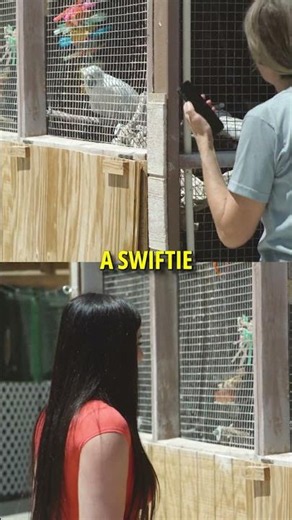 This Bird is a Taylor Swift Fan! | Gilcrease Animal Sanctuary