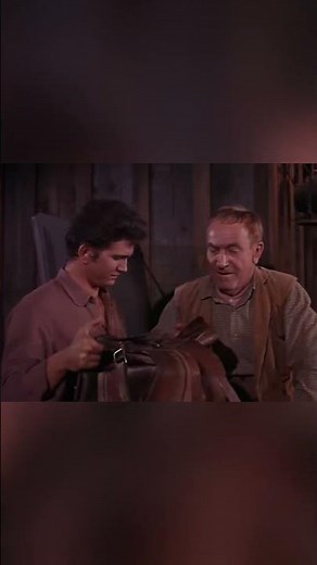 It's a saddle, alright #bonanza
