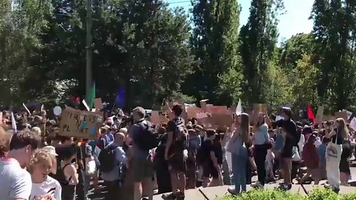 Protesters march in Switzerland for climate awareness