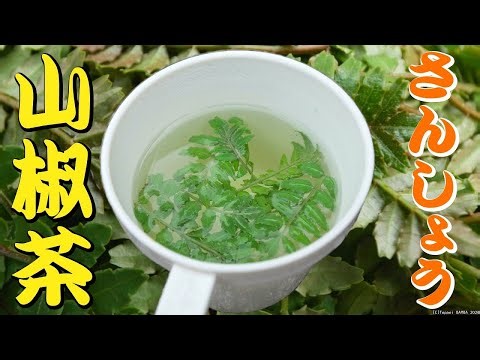 Japanese Pepper Tea Recipe (Sansho Tea)