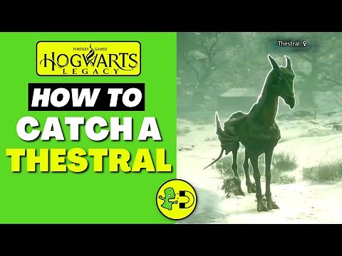 Hogwarts Legacy How to Catch a Thestral