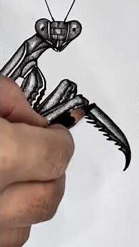 How to Draw a Hyper Realistic Praying Mantis Step by Step