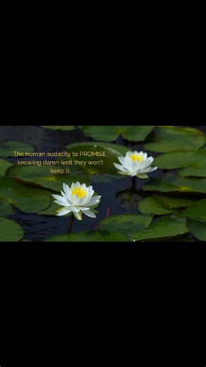 S I M R Δ N ✨ on Instagram: "Promises are meant to be broken... . . . . . #insta #growth #consistency #lotus #moon"