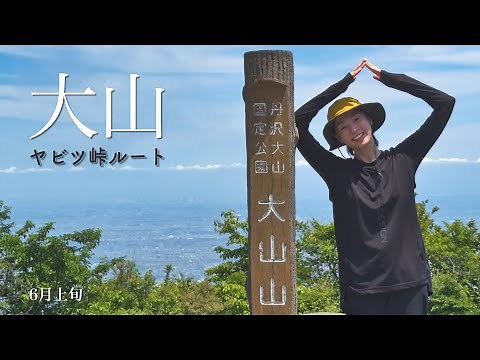 【丹沢/大山】初心者おすすめ！ヤビツ峠から大山山頂への新緑ハイキング！モデルが教える定番ルート解説