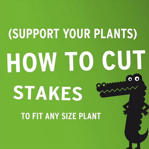 How to Cut Stakes