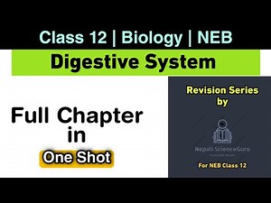 Digestive System of Human Being in One shot | Class 12 Biology NEB | Nepali ScienceGuru