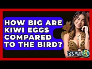 How Big Are Kiwi Eggs Compared To The Bird? - Ecosystem Essentials