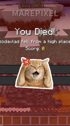 50 Block Fall Test That Makes NO Sense 😳 | Minecraft Logic