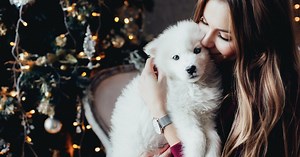 Is a Christmas puppy a good idea? Why you should think twice