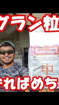 The results of the rice paddy after applying Basagran granules. Basagran is highly effective.